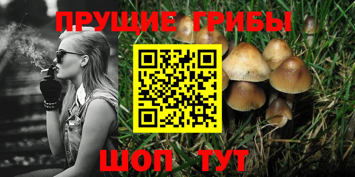 Каспийск  Псилоцибиновые грибы Magic Shrooms  Вход с VPN 